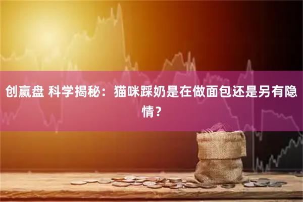 创赢盘 科学揭秘：猫咪踩奶是在做面包还是另有隐情？