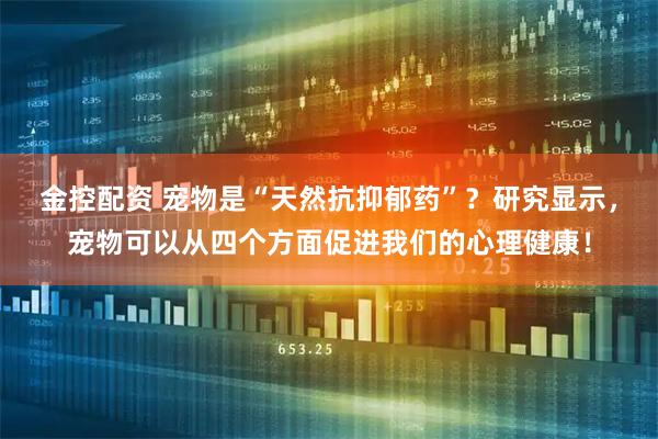 金控配资 宠物是“天然抗抑郁药”？研究显示，宠物可以从四个方面促进我们的心理健康！