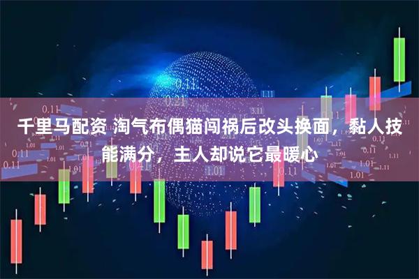 千里马配资 淘气布偶猫闯祸后改头换面，黏人技能满分，主人却说它最暖心