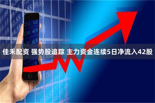 佳禾配资 强势股追踪 主力资金连续5日净流入42股