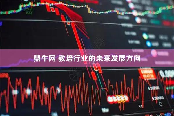 鼎牛网 教培行业的未来发展方向