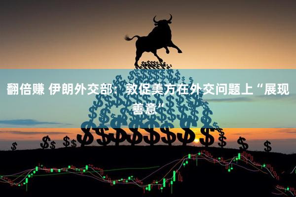 翻倍赚 伊朗外交部：敦促美方在外交问题上“展现善意”